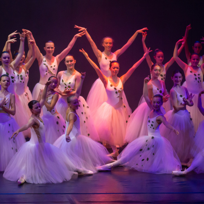 ©Association Promodanse
