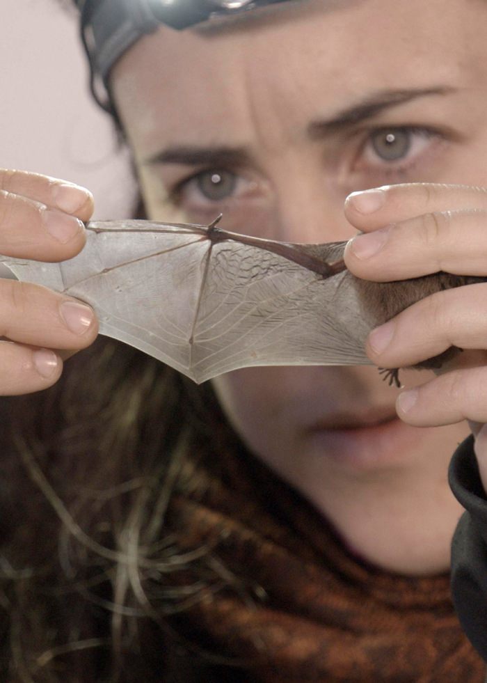 ©La_Compagnie_des_Taxi-Brousse-Benoit_Demarle